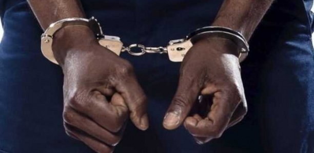 L’homme d’affaires voulait acheter un bateau de la Douane, il perd plus de 82 millions dans l’opération