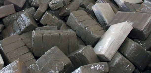 Plus de deux tonnes de cocaïne, d'une valeur de 19 milliards Fcfa, partent en fumée