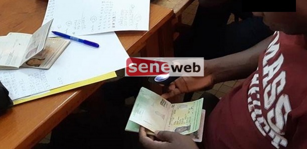 Trafic de passeports diplomatiques : Un 2e réseau démantelé entre la Présidence et le ministère des Affaires étrangères