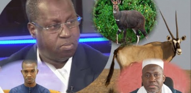 Taxaw seetlu : Abdou Karim Sall et les 6 gazelles