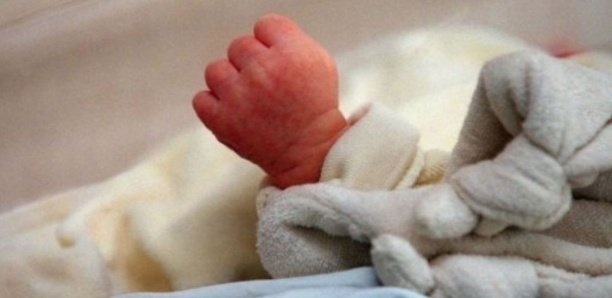 Vélingara : Un bébé de deux mois retrouvé vivant à côté du domicile d'un chef de village