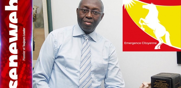 Déclaration du leader du Mouvement TEKKI Mamadou Lamine DIALLO