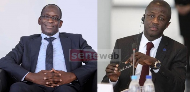 BBY - Elections Locales : Le trio de Dakar connu !