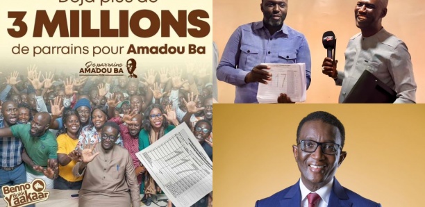 Collecte de parrainages pour Amadou Ba : L’apport de Tamsir Sokhna souligné
