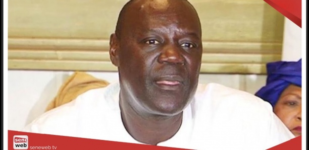 Suppression mairie Dakar, Mutisme de Khalifa , Coalition avec Sonko.Le maire Cheikh GUEYE dit tout