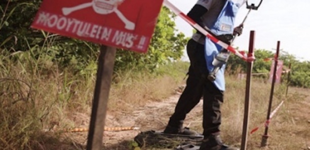 Bignona : Un homme saute sur une mine