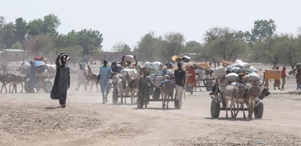 Le Cameroun détrône le Burkina Faso au rang de crise "la plus négligée", selon une ONG