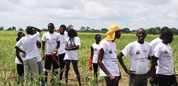 Recrutement de 5000 jeunes: «l’Etat ne doit pas politiser le financement » (Pr. Madialaké Diedhiou)