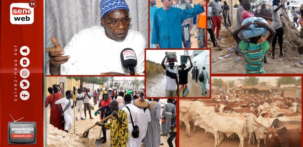 Préparatifs Magal Touba 2022 : Entretien exclusif avec Serigne Saliou Thioune