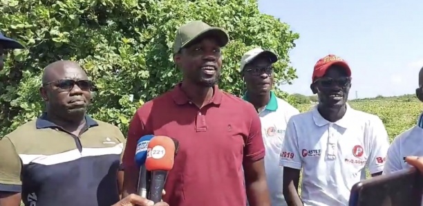 Tournée nationale : pourquoi Ousmane Sonko commence par Mbour