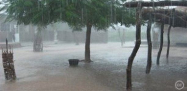 Bignona :  Les premières pluies font une victime collatérale