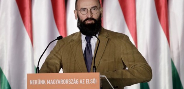 À Bruxelles, la police interrompt une "orgie" en plein confinement, incluant un eurodéputé