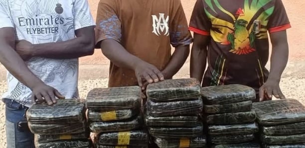 Burkina Faso : Nouvelle saisie de drogue par la Gendarmerie