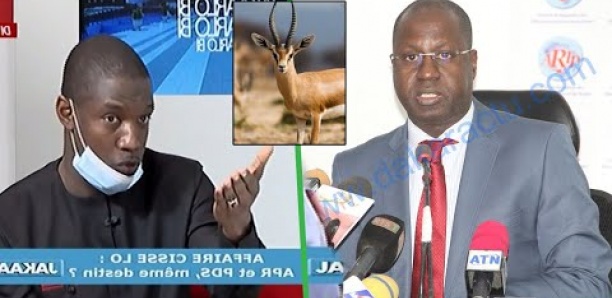 Pape Djibril Fall sur l'affaire des gazelles oryx : " Li ministre bi déf bétouma... "