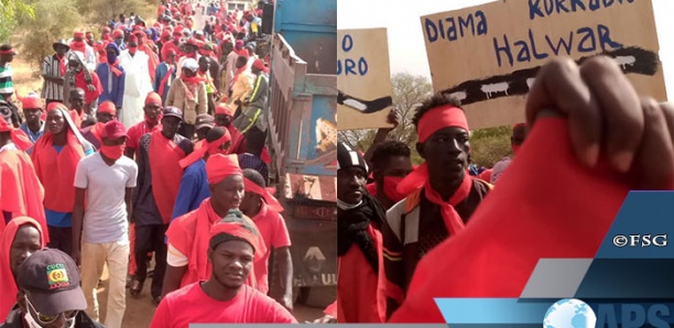 Podor : Marche des populations pour réclamer le bitumage de l'axe Alwar-Diatar