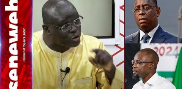 Souleymane Diallo: "le gouvernement a été déstabilisé, mais Sonko ne..."