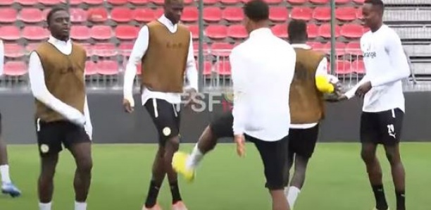 La belle séance de décrassage des Lions après la victoire contre Bolivie