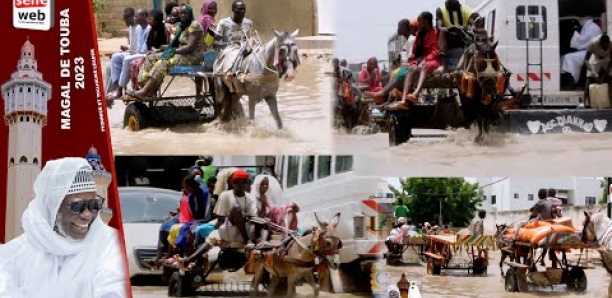 [Special Magal] Inondations à Touba : Charretiers et clients dans le désarroi