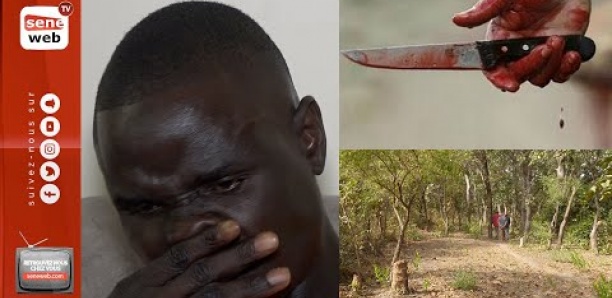 [Vidéo] Forêt classée de Mbao: les terribles révélations de Bakary qui y a frôlé la mort