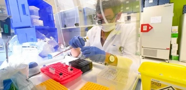 Un virus “presque identique” à la Covid-19 repéré au Cambodge il y a 10 ans