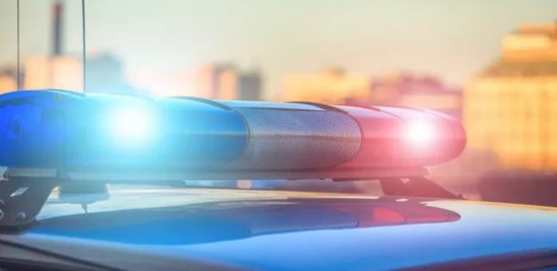 Un garçon tué par des chiens pendant que sa famille fêtait le Nouvel An