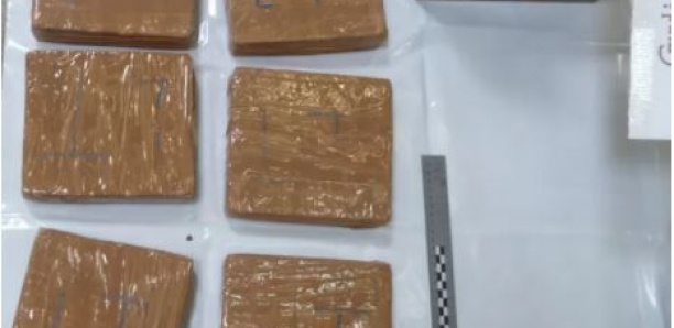 De la drogue pour six millions d’euros dans une cargaison de chocolats belges interceptée au tunnel sous la Manche