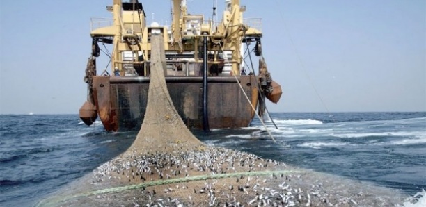 Observation et contrôle des pêches : 54 agents formés