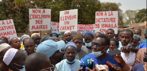 Mbour : L'assemblée générale des éleveurs vire au fiasco