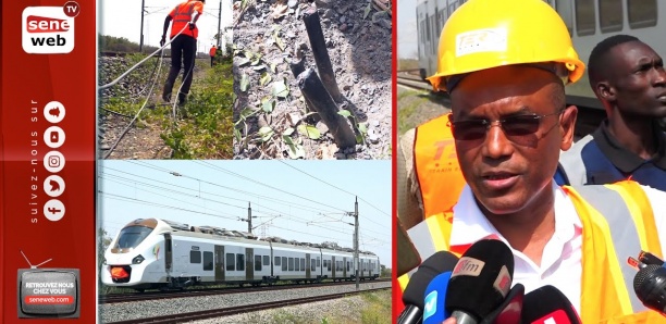 Câbles de signalisation du TER sectionnés : Mountaga Sy (Apix) dénonce un acte criminel et annonce...