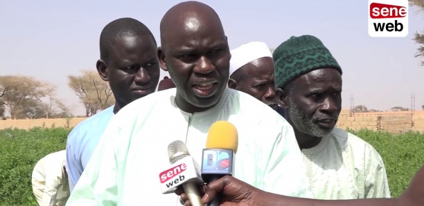 Thiès : Bby gagne à Ngoundiane avec le maire Mbaye Dione
