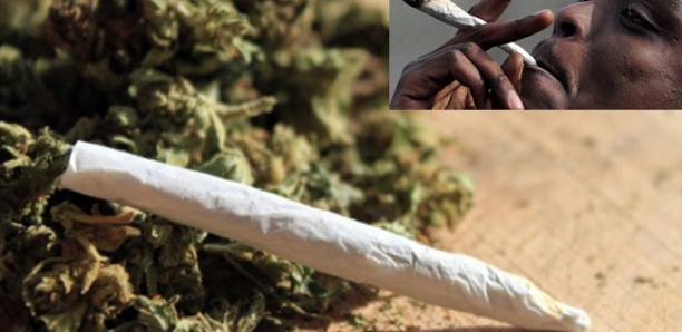 FRONTIÈRE AVEC LA GAMBIE : Un charretier arrêté avec 30 cornets de "yamba"