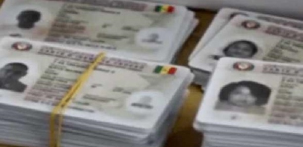 Élections Locales : Près de 700 cartes d’électeurs "volées" dans le département de  Tivaouane