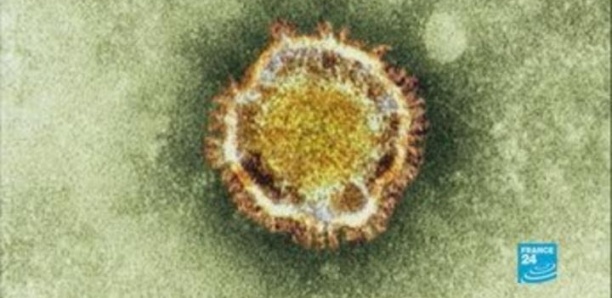 L'hypothèse d'un nouveau coronavirus pour expliquer des cas de pneumonie en Chine