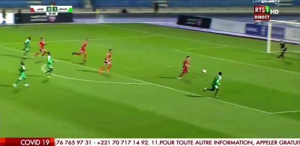 Finale Coupe arabe : Les Lionceaux sacrés champions