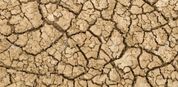 Réchauffement climatique : L’eau va devenir plus rare encore sur plus de 80% des terres cultivées d’ici 2050 (Rapport)
