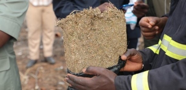 Thiaroye : 15 tonnes de tabac d’une valeur de 67 millions saisies par la gendarmerie