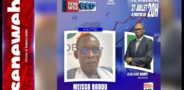 [Seneweb Eco] La notation financière: un frein au financement du développement