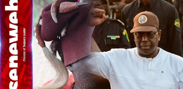 Les confidences de ce saltigué: "Sonko laa guissoon, mais Macky..."