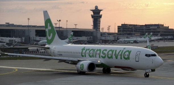 Un scorpion s’invite à bord d'un vol Dakar-Nantes, un passager gravement piqué...