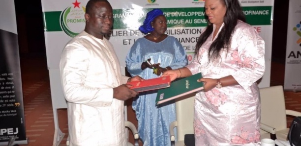 Microfinance Islamique : 47 milliards pour diversifier les sources de financements de projets (PROMISE)