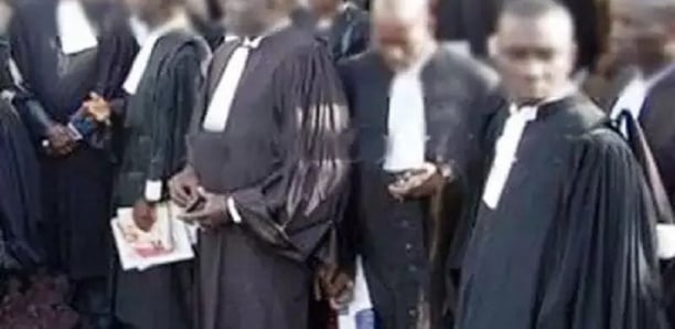 Election partielle du Conseil de l’Ordre des Avocats du Sénégal: Neuf sièges pourvus au premier tour
