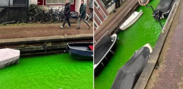 L'eau de plusieurs canaux d'Amsterdam devient soudainement verte