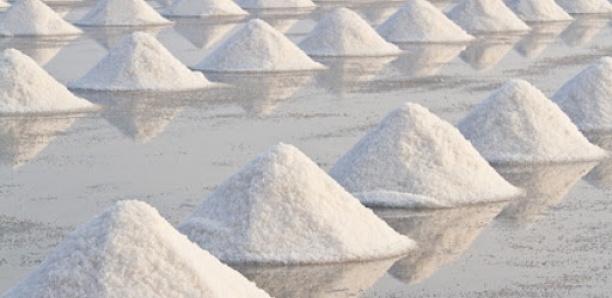 Insolite/Pénurie de sel à Fatick : Producteurs et consommateurs désorientés