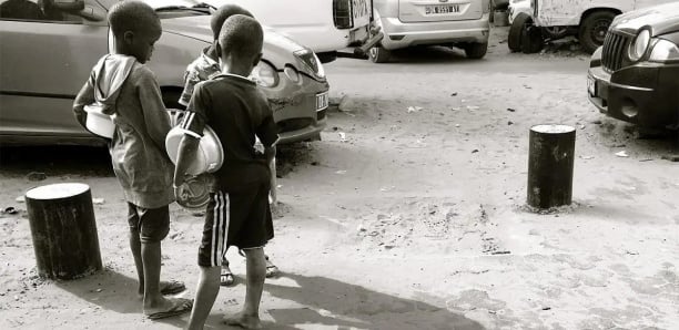 Thiénaba : mort troublante de quatre talibés, une mystérieuse plante locale suspectée