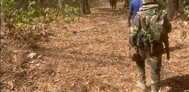 Forêt de Bissine : Les 2 corps inhumés