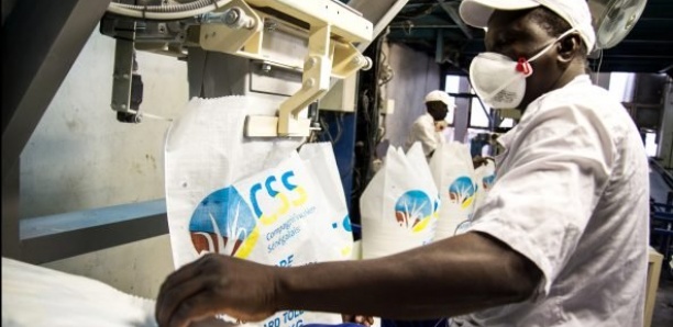 Aide d'urgence : La Css va fournir 500 tonnes de sucre à l'Etat