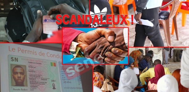 Permis de conduire biométrique : après « l’illégalité et la dangerosité, la corruption... »