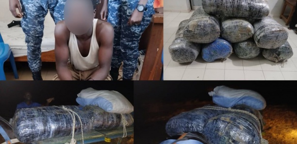 Nouveau coup de filet à Fimela : Un charretier arrêté avec 137 kg de "yamba"