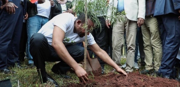 L'Éthiopie plante quatre milliards d’arbres en six mois