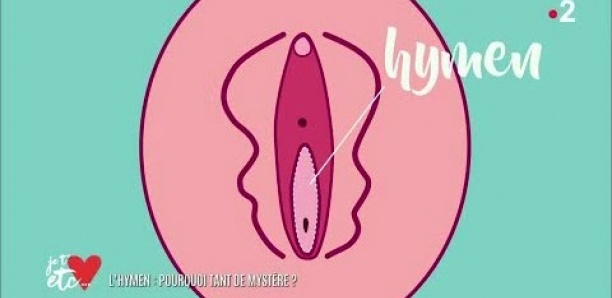 L'hymen : c'est quoi ?